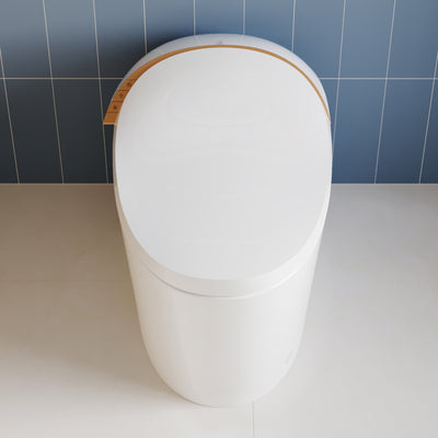 Smart Toilet High Tech Toilet