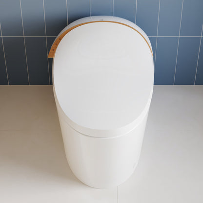 DeerValley DV-1S0160/V1/V3 Tankless Elongated Smart Toilet with Off-Seat Flush/Foot Sensor Flush, Automatic Tankless Toilet with Heated Seat, Warm Water Cleaning, Warm Air dryer