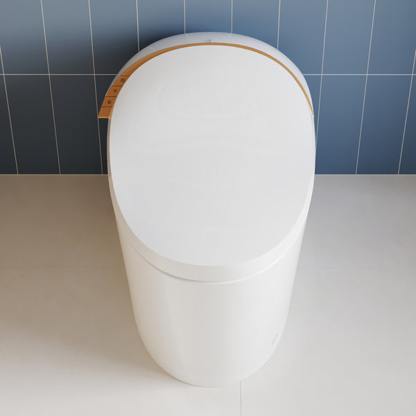 DeerValley DV-1S0160 Smart Bidet Toilet with Off-Seat Flush/Foot Sensor Flush, Automatic Tankless Toilet with Heated Seat, Warm Water Cleaning, Warm Air dryer