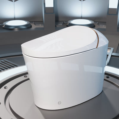 Smart Toilet High Tech Toilet