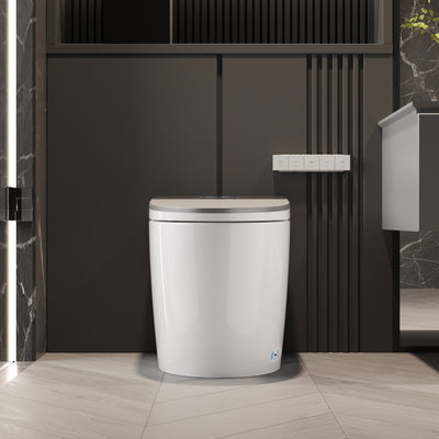 Smart Toilet High Tech Toilet