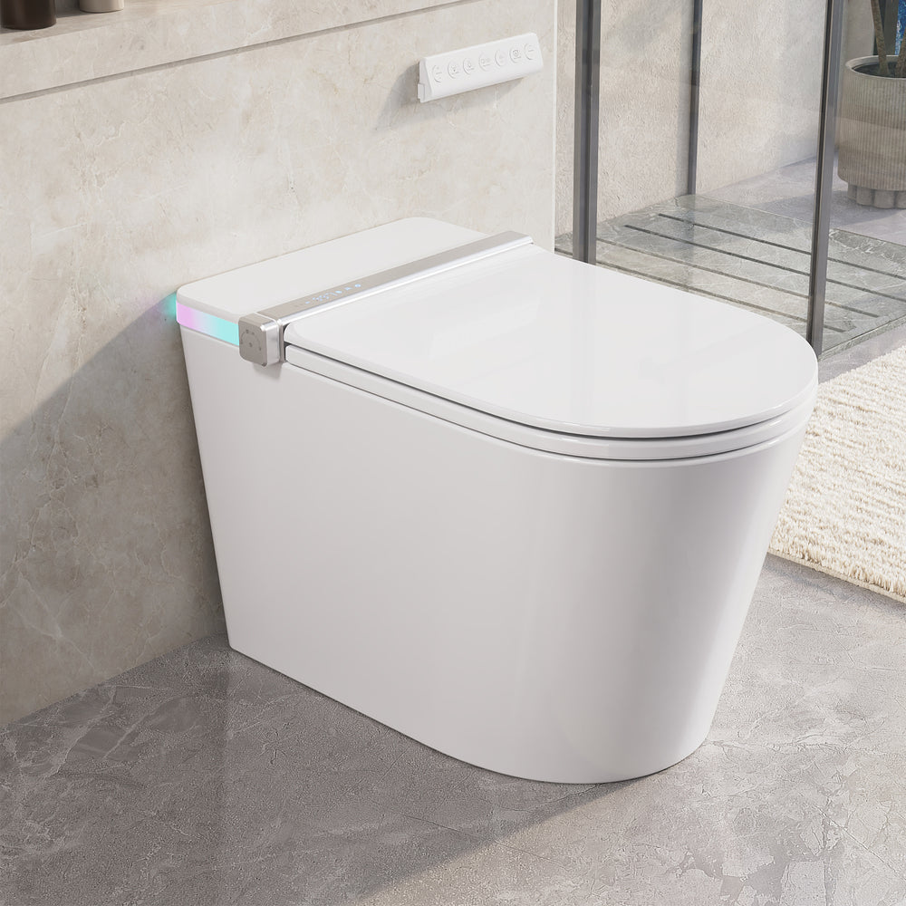 DeerValley Smart Toilet w/Bidet, Heated Seat, Built-in Tank & Pump (DV-1S0360) only