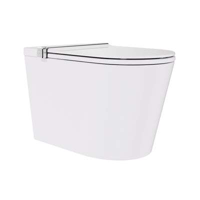 Smart Toilet High Tech Toilet
