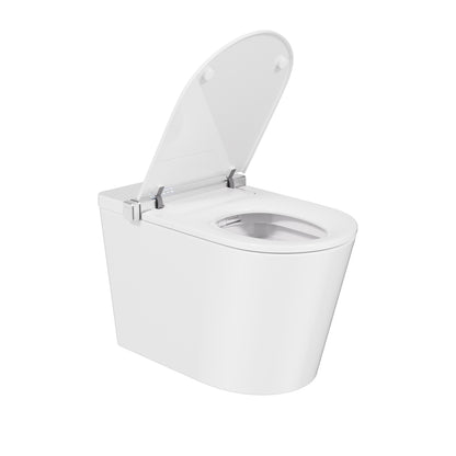 Smart Toilet Best Smart Toilet