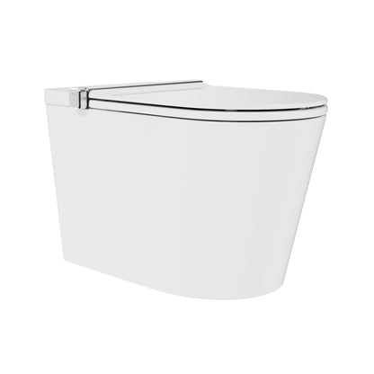 Smart Toilet Best Smart Toilet