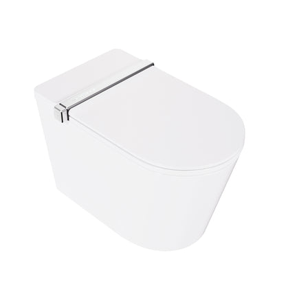 Smart Toilet Best Smart Toilet