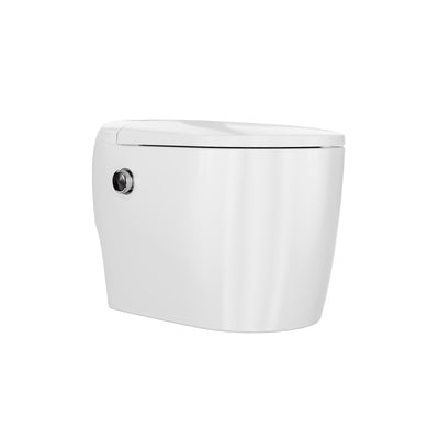 Smart Toilet High Tech Toilet