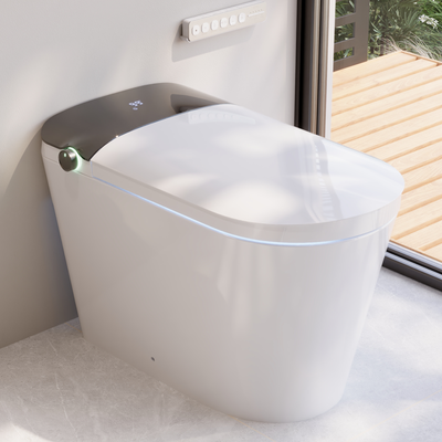 Smart Toilet High Tech Toilet