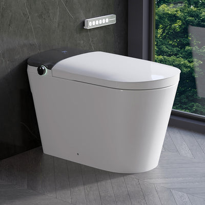 Smart Toilet Best Smart Toilet
