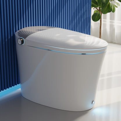 DeerValley DV-1S0019/V1/V3 Tankless Elongated Smart Toilet Quiet-Closed Heated Seat Sensor Auto, Foot Kick & Blackout Flush, Night Light