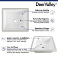 DeerValley Bath DeerValley DV-1U307 Ursa 16