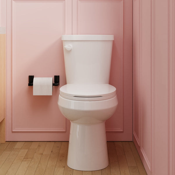 DeerValley DV-2F0076 Dynasty Dual-Flush Elongated Floor Mounted Two-Piece Toilet (Seat Included)