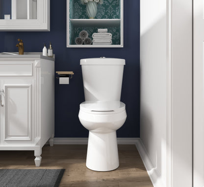 DYNASTY Two-Piece Elongated Toilet, 12" Rough-in Dual-Flush