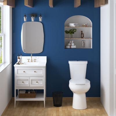 DeerValley DV-2F0079 Two-Piece Round Toilet, 12" Rough-in Dual-Flush