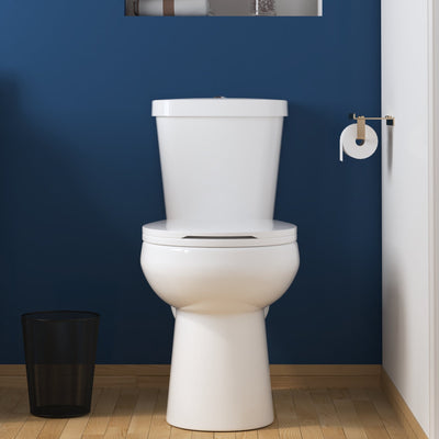 DeerValley DV-2F0079 Two-Piece Round Toilet, 12" Rough-in Dual-Flush