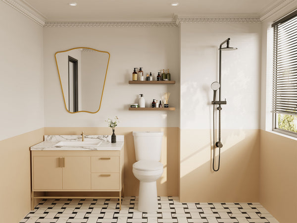 Two-Piece Elongated Toilet, 12" Rough-in Dual-Flush