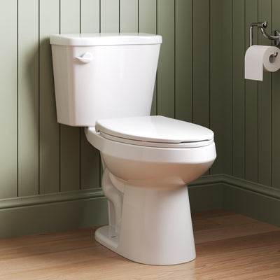 DeerValley DV-2F0386 17 in. ADA Chair Height Two-Piece Elongated Toilet, 1.28 GPF Single Flush, MaP 1000g, Soft-Close Seat, White