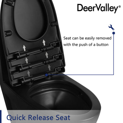 DeerValley DV-F0027S11 Quick-Release Soft-Close Elongated Urea Formaldehyde Resin (UF) Toilet Seat  (Fit with DV-1F0027 )