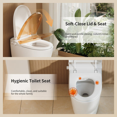 DeerValley DV-1S0453 Smart Bidet Toilet, Non-Electric Chair Height Soft Close, 1.28 GPF