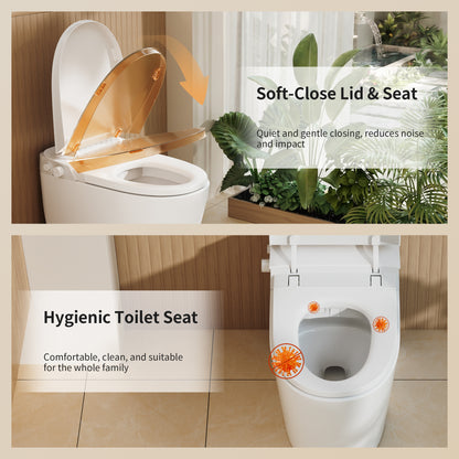 DeerValley DV-1S0453 Smart Bidet Toilet, Non-Electric Chair Height Soft Close, 1.28 GPF