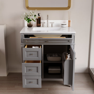 DeerValley 30 Inch Bathroom Vanity with Sink and Backsplash, Pre-Assembled Modern Bath Cabinet with Storage, Soft Close Doors, White / Light Gray
