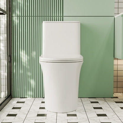 One Piece Toilet for Bathroom, Dual Flush 1.1/1.6 GPF Skirted Toilets, Soft Close seat