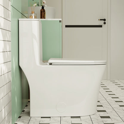 One Piece Toilet for Bathroom, Dual Flush 1.1/1.6 GPF Skirted Toilets, Soft Close seat