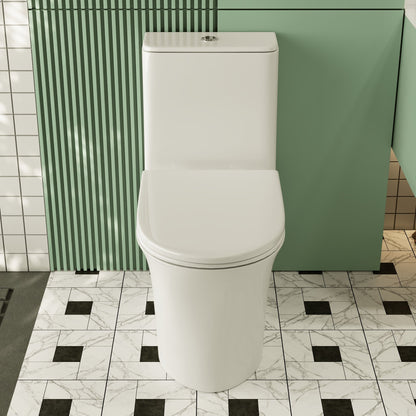 One Piece Toilet for Bathroom, Dual Flush 1.1/1.6 GPF Skirted Toilets, Soft Close seat