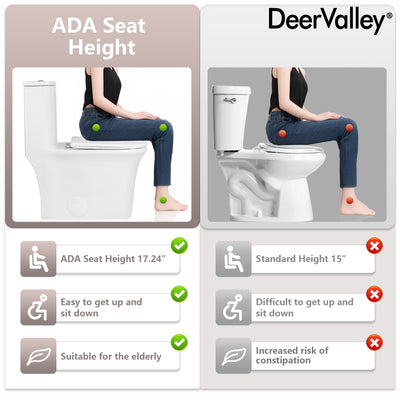 DeerValley DV-1F0249 One Piece Toilet Dual Flush Soft Close Skirted Easy Clean