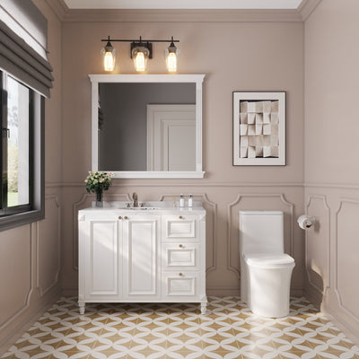 DeerValley DV-1F0249 One Piece Toilet Dual Flush Soft Close Skirted Easy Clean