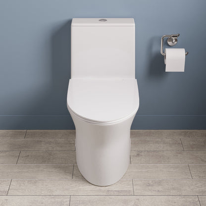 Elongated One Piece Toilet, Dual Flush 1.1/1.6 GPF Toilets with Soft Close Seat