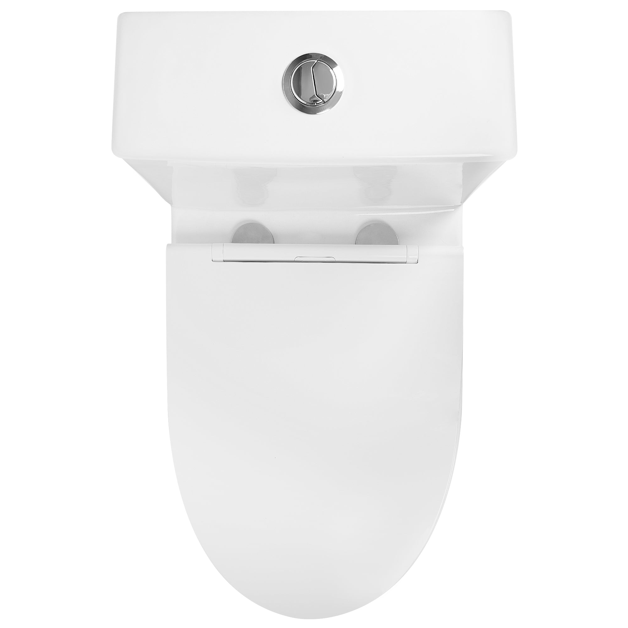 Elongated One Piece Toilet, Dual Flush 1.1/1.6 GPF Toilets with Soft Close Seat