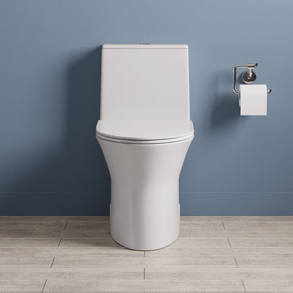 Elongated One Piece Toilet, Dual Flush 1.1/1.6 GPF Toilets with Soft Close Seat
