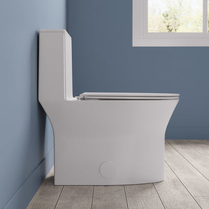Elongated One Piece Toilet, Dual Flush 1.1/1.6 GPF Toilets with Soft Close Seat