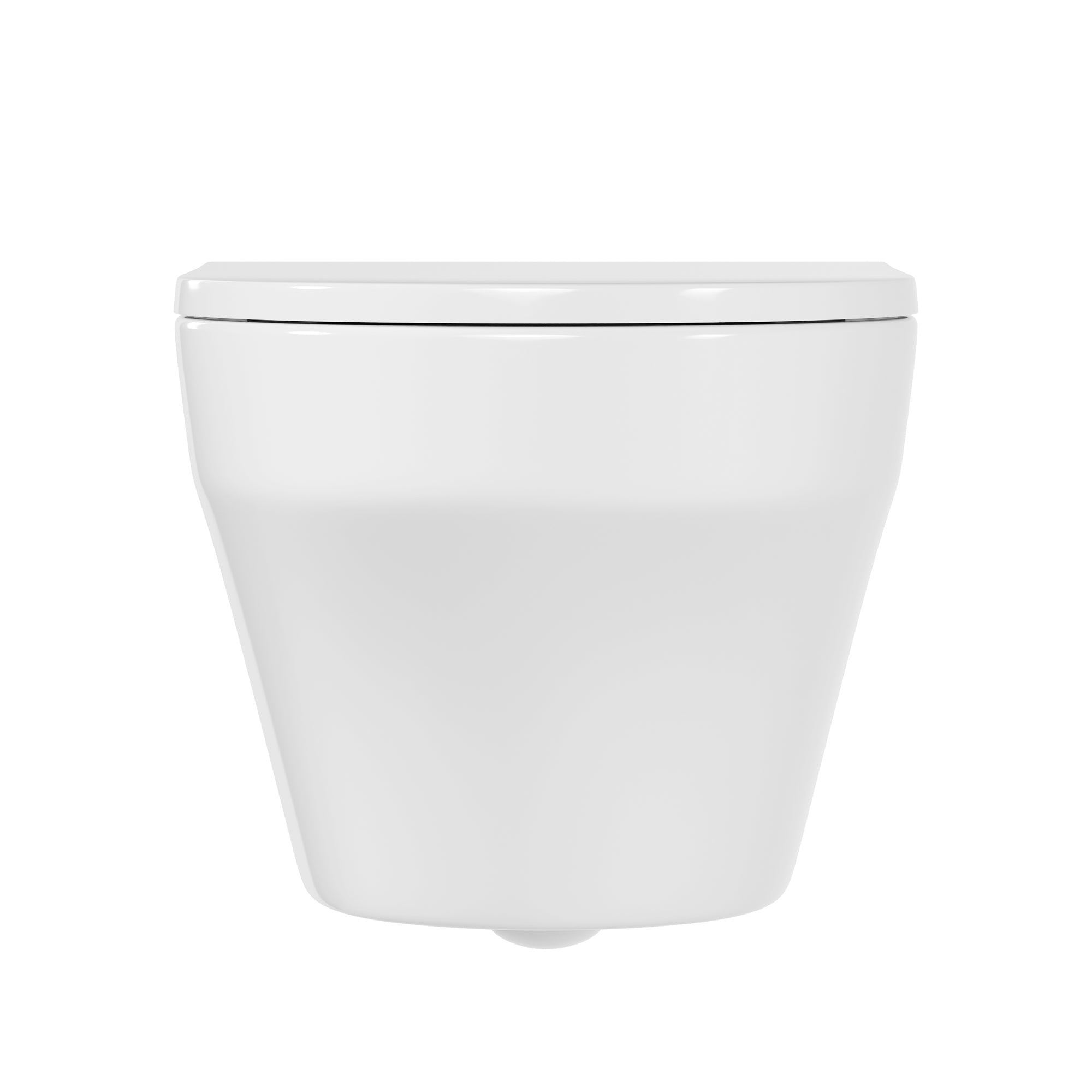 2-Piece Toilet Elongated Dual-Flush Wall Mounted Toilet  (Seat Included) - DV-1F00292-CF/DV-1F0292