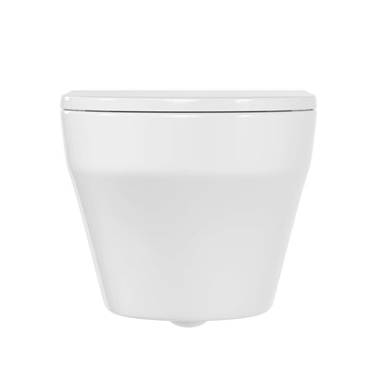 2-Piece Toilet Elongated Dual-Flush Wall Mounted Toilet  (Seat Included) - DV-1F00292-CF/DV-1F0292