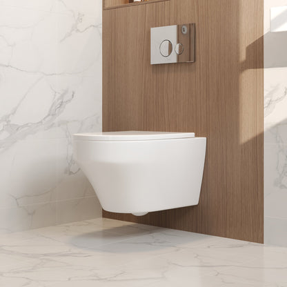 2-Piece Toilet Elongated Dual-Flush Wall Mounted Toilet  (Seat Included) - DV-1F00292-CF/DV-1F0292