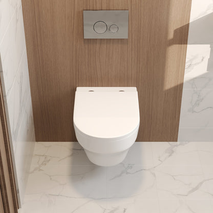 2-Piece Toilet Elongated Dual-Flush Wall Mounted Toilet  (Seat Included) - DV-1F00292-CF/DV-1F0292