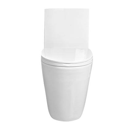 ACE One-Piece Elongated Toilet, 1.1/1.6 GPF Dual-Flush