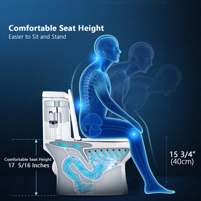 One-piece Toilets Product Information