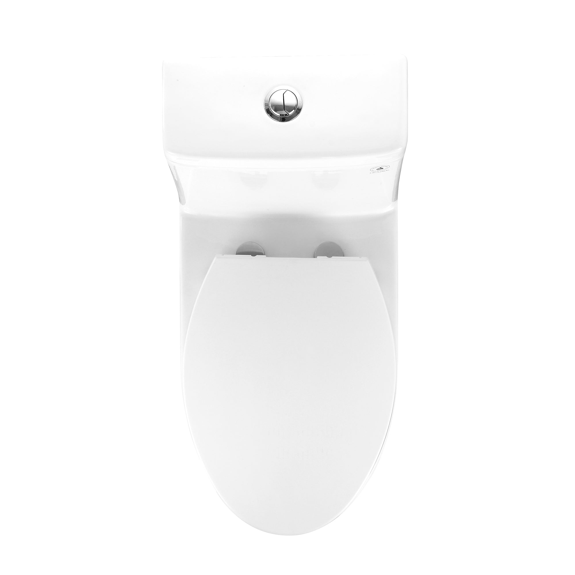 Ally 10" Rough-in Dual-Flush Elongated One-Piece Toilet with Glazed Surface Modern Toilet with Comfort Seat Height (Seat Included)