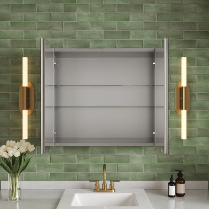 Rectangular Bathroom Medicine Cabinet, Frameless With Mirror With Multiple Types