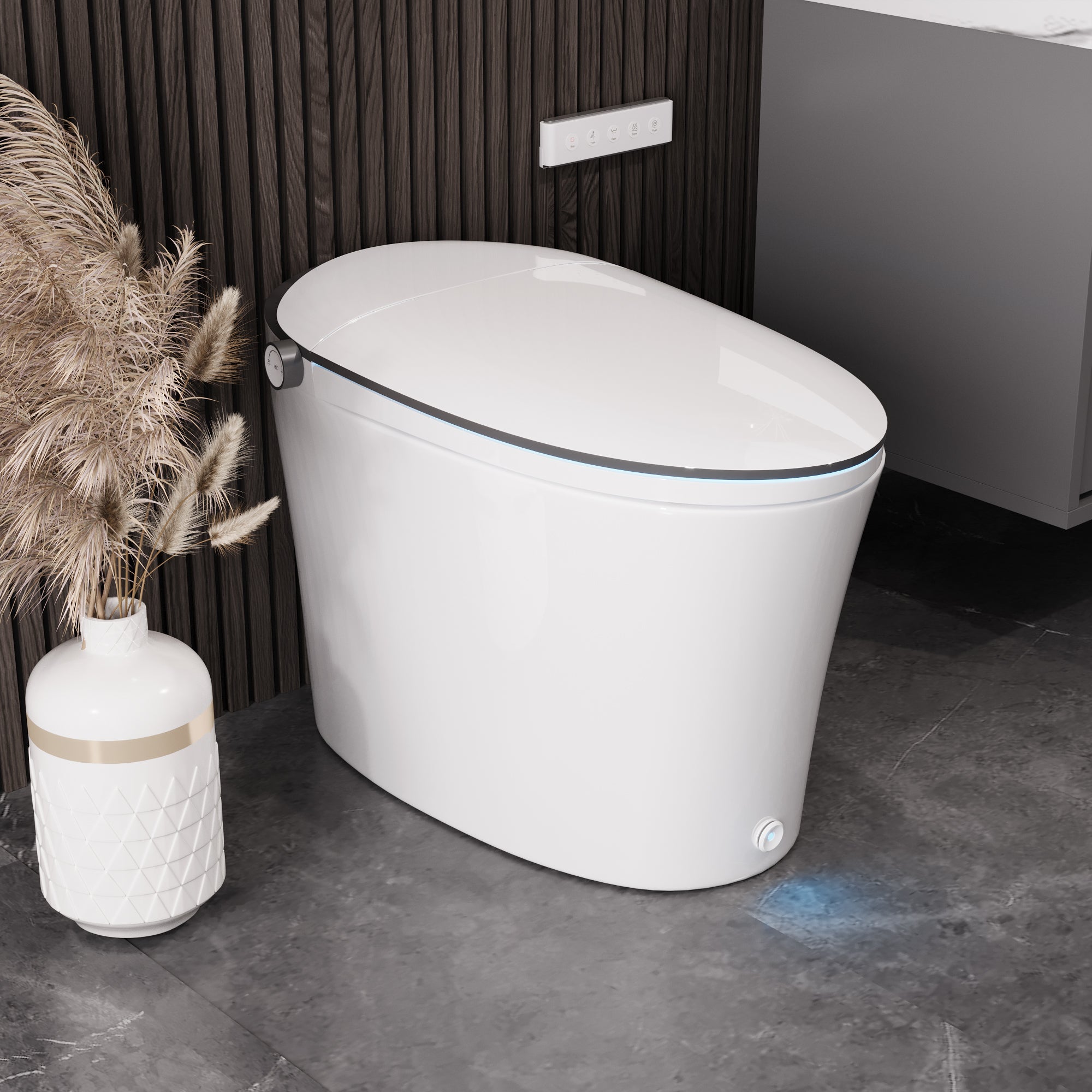 DeerValley DV-1S0019-V3 Premium Tankless Elongated Smart Bidet Toile, Quiet-Closed Heated Seat Sensor Auto, Foot Kick & Blackout Flush, Warm Wash, Night Light