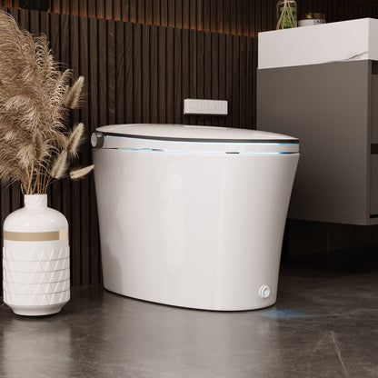 DeerValley DV-1S0019-V3 Premium Tankless Elongated Smart Bidet Toile, Quiet-Closed Heated Seat Sensor Auto, Foot Kick & Blackout Flush, Warm Wash, Night Light