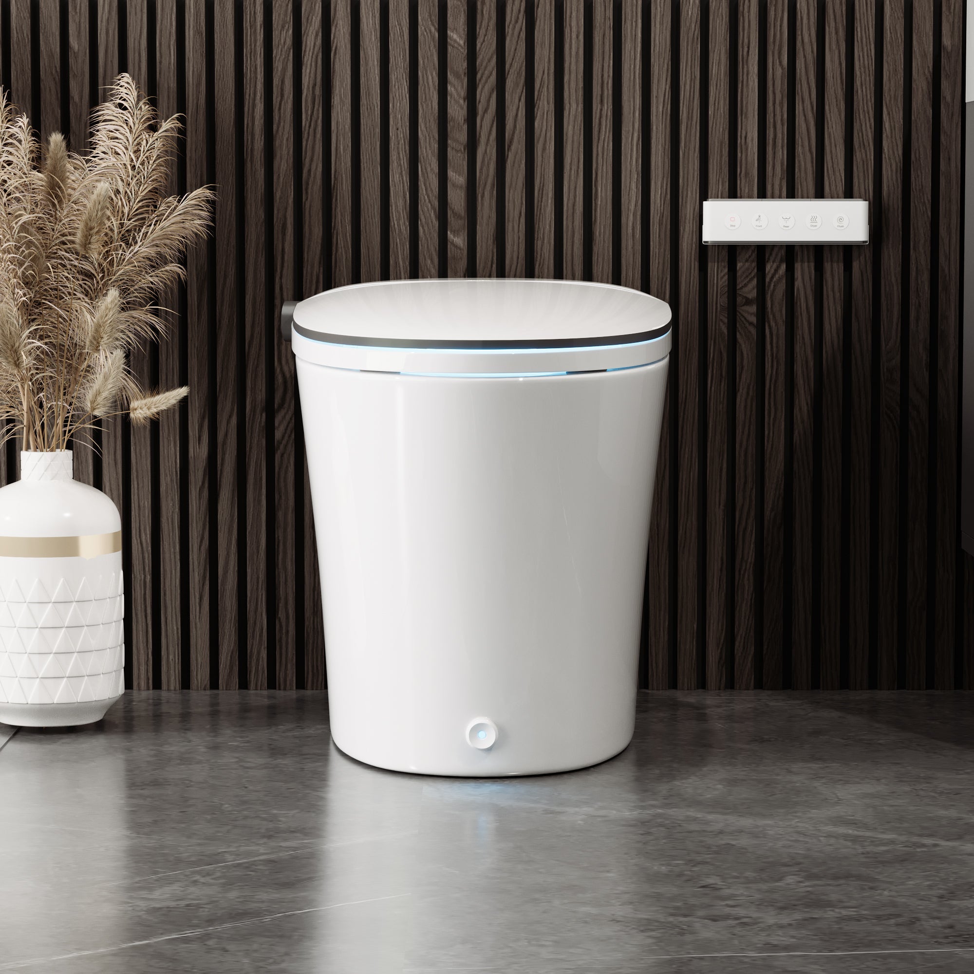 DeerValley DV-1S0019-V3 Premium Tankless Elongated Smart Bidet Toile, Quiet-Closed Heated Seat Sensor Auto, Foot Kick & Blackout Flush, Warm Wash, Night Light