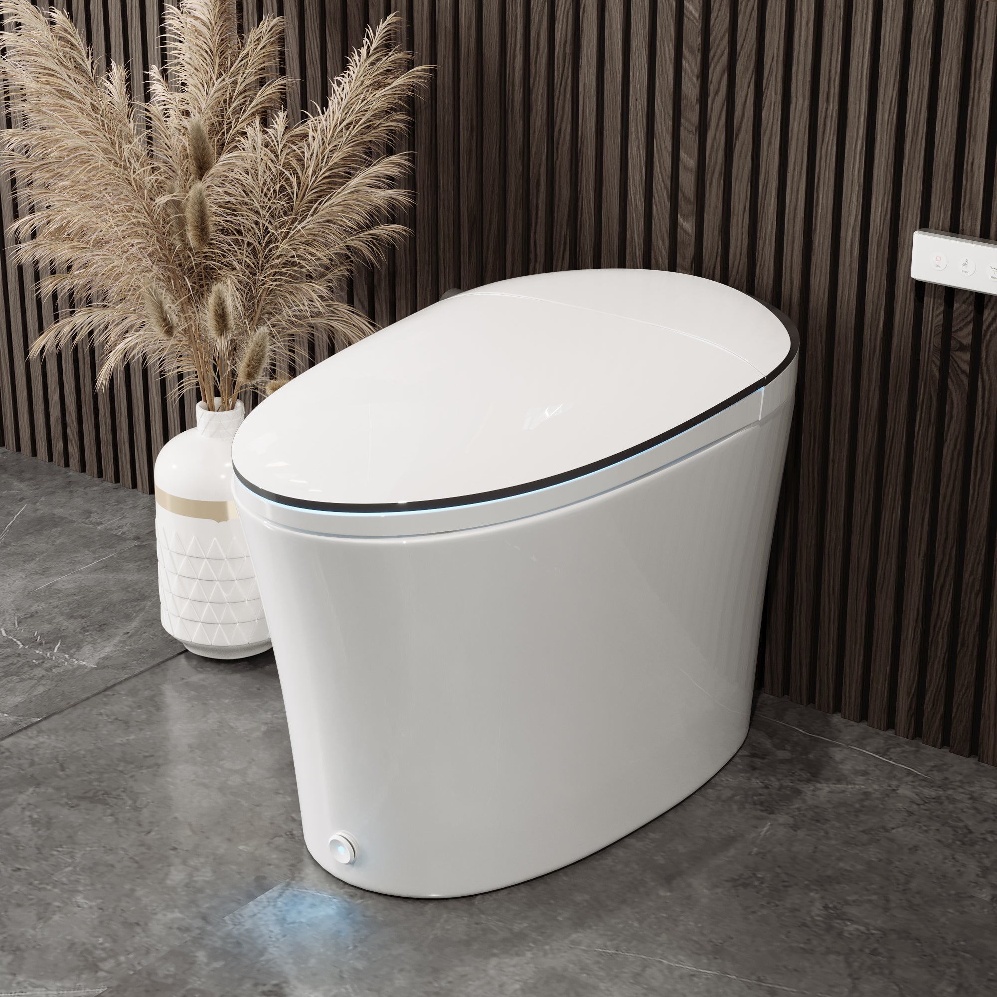 Toilettes bidet intelligentes DeerValley, fermeture silencieuse, siège chauffant, capteur automatique, chasse d'eau automatique, chasse d'eau occultante, lavage à chaud, veilleuse, DV-1S0019-V3 