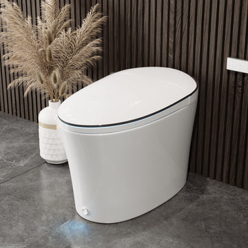 Toilettes bidet intelligentes DeerValley, fermeture silencieuse, siège chauffant, capteur automatique, chasse d'eau automatique, chasse d'eau occultante, lavage à chaud, veilleuse, DV-1S0019-V3 