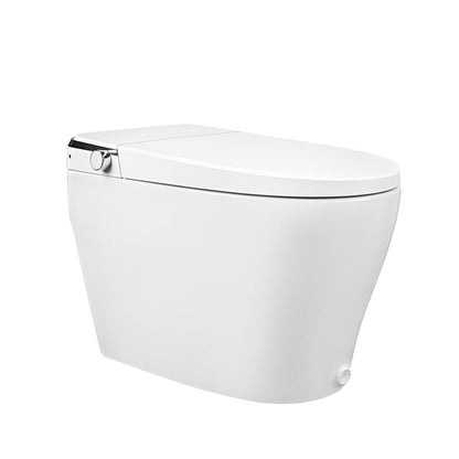 DeerValley DV-1S0029-V3 Premium Tankless Elongated Smart Bidet Toilet, Foot Kick Flush, Warm Wash (Seat Included), Female Wash