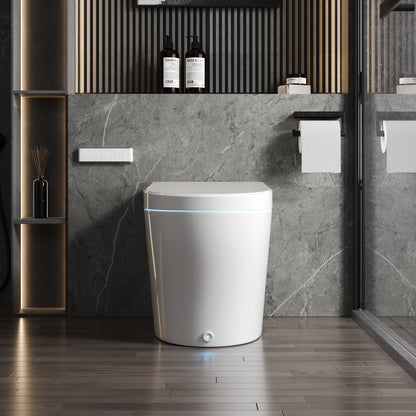 DeerValley DV-1S0029-V3 Premium Tankless Elongated Smart Bidet Toilet, Foot Kick Flush, Warm Wash (Seat Included), Female Wash