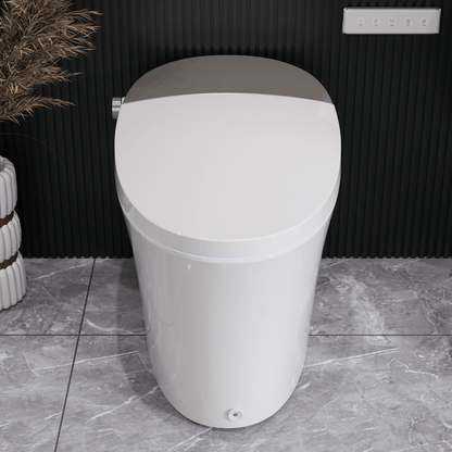 DeerValley DV-1S0150/DV-1S0150-V3 Tankless Smart Toilet,Off-seat Auto Flush,Foot Kick Flush,Night Light,Modern Elongated Toilet with Warm Water